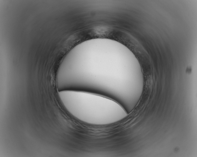 X0000097900651200803141007