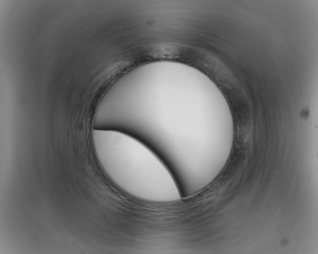 X0000097900652200803141007
