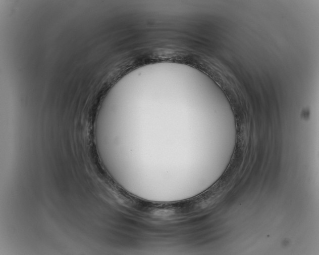 X0000097900653200803141007