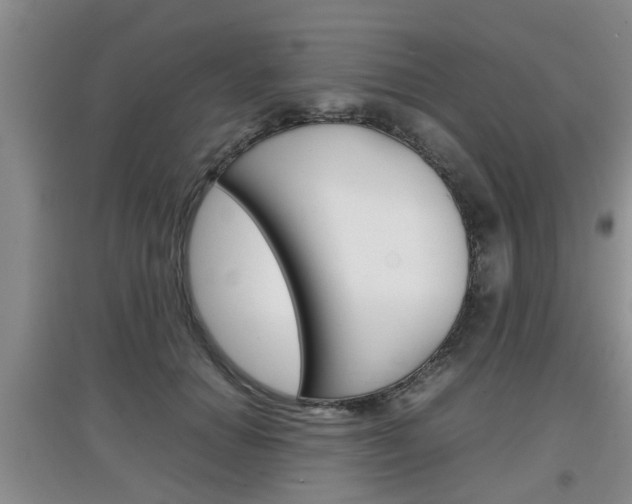 X0000097900654200803141007