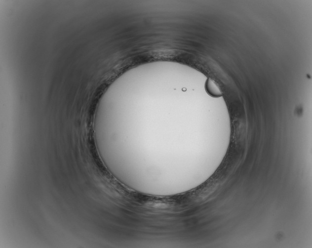 X0000097900655200803141007