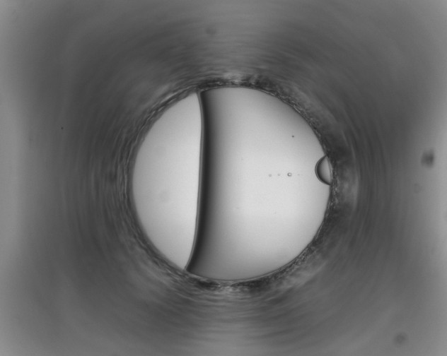 X0000097900656200803141007