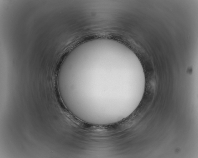 X0000097900658200803141007
