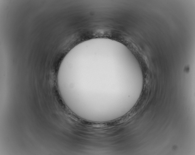 X0000097900659200803141007