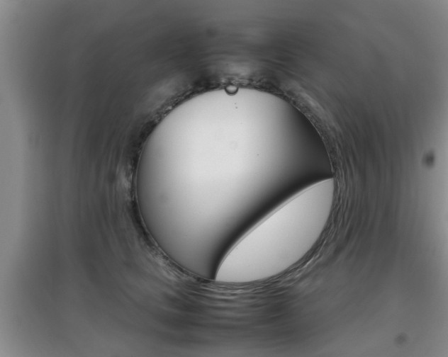 X0000097900661200803141007