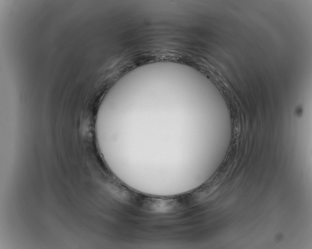 X0000097900663200803141007