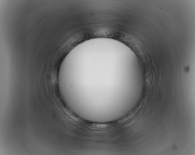 X0000097900665200803141007
