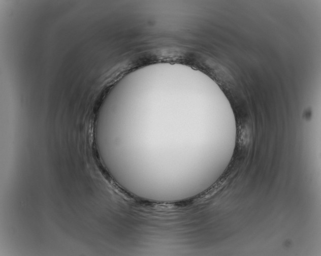 X0000097900666200803141007
