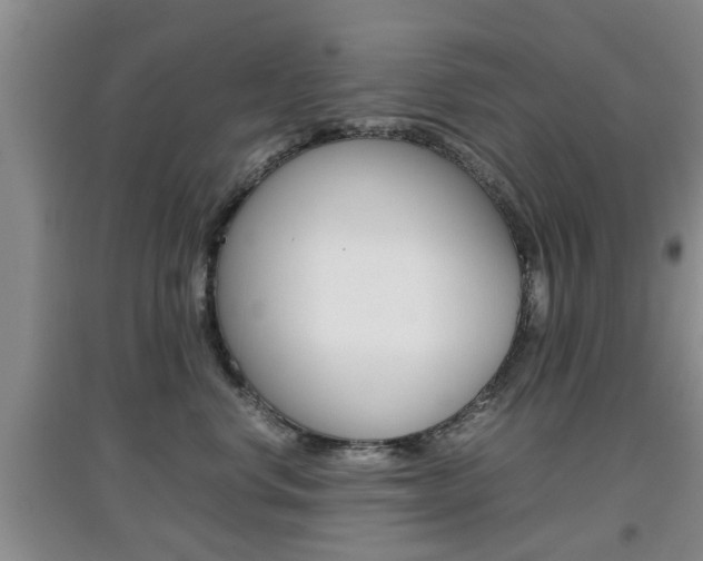 X0000097900668200803141007