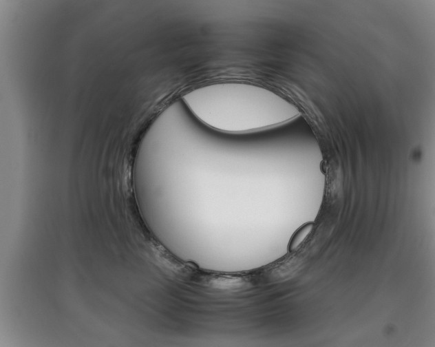 X0000097900669200803141007