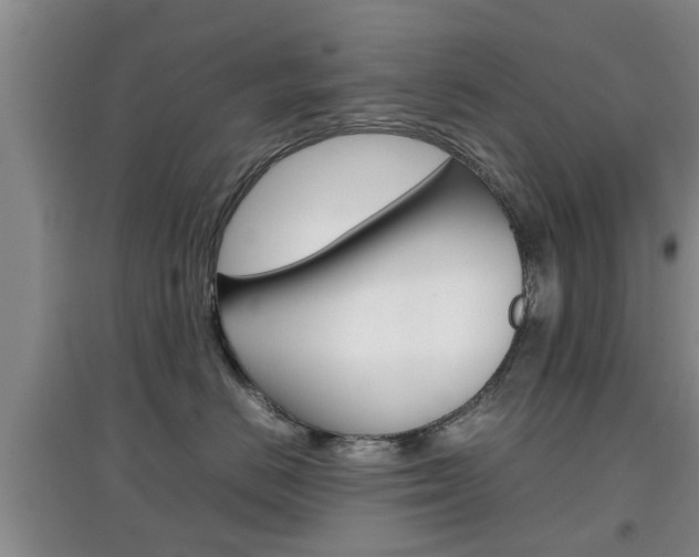 X0000097900670200803141007