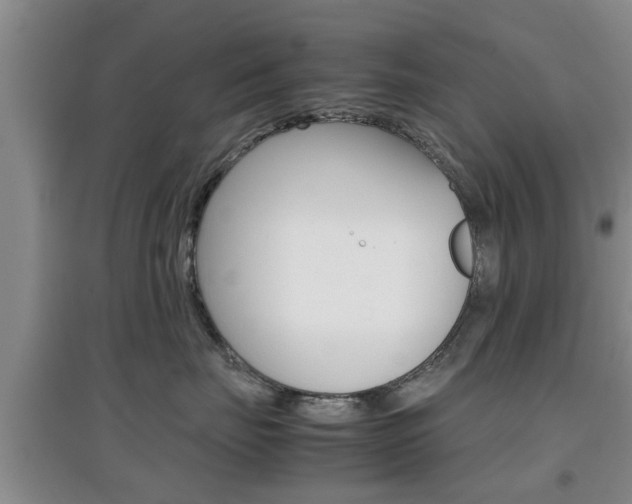 X0000097900671200803141007