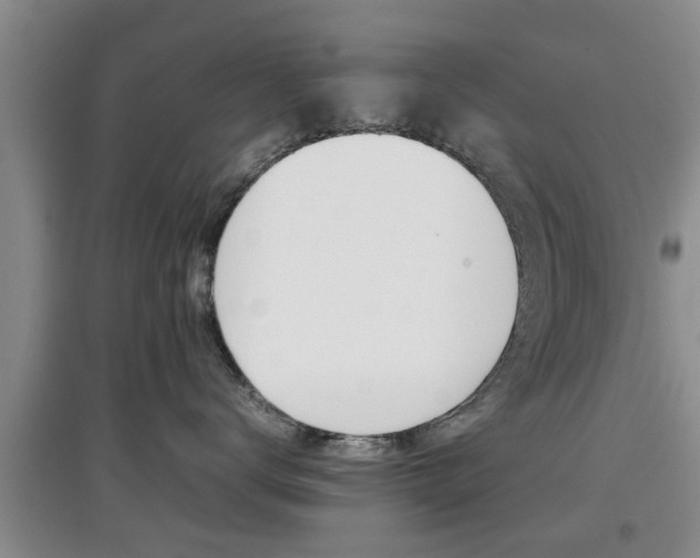 X0000097900672200803141007