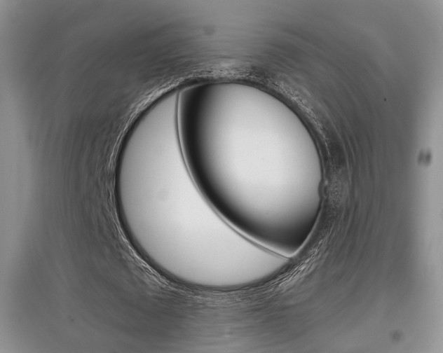 X0000097900673200803141007