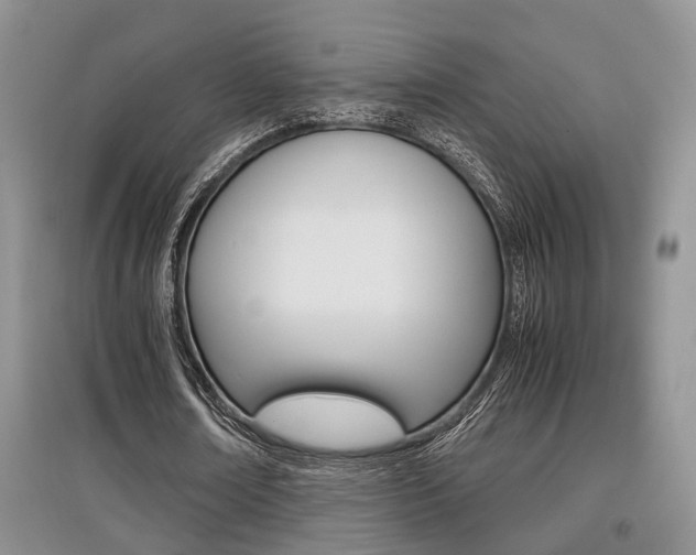 X0000097900674200803141007