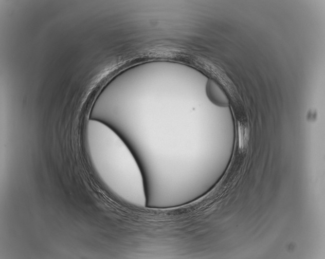 X0000097900675200803141007
