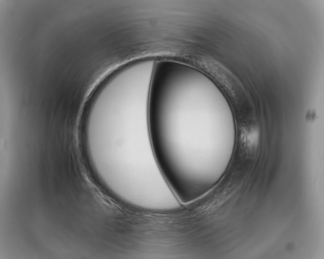 X0000097900676200803141007