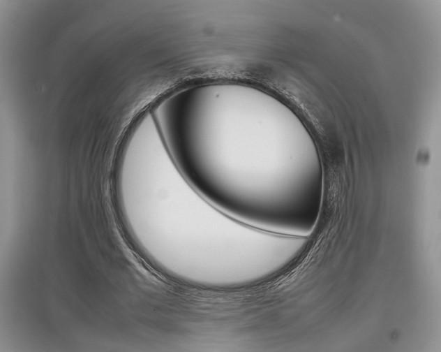 X0000097900677200803141007