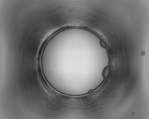 X0000097900678200803141007