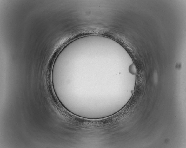 X0000097900679200803141007