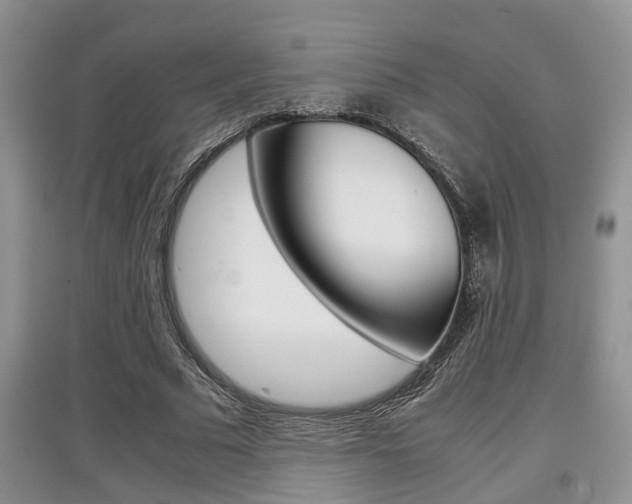 X0000097900681200803141007