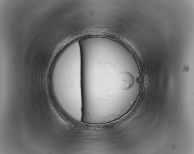 X0000097900682200803141006