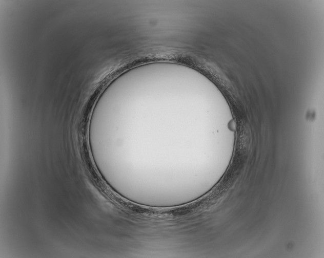 X0000097900683200803141006