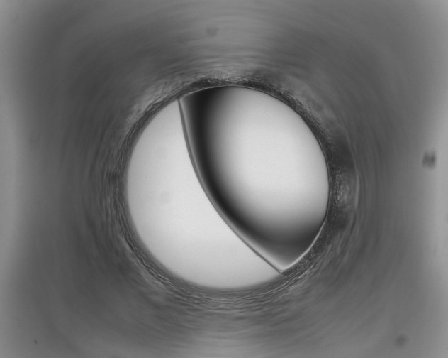 X0000097900685200803141006