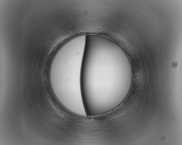 X0000097900688200803141006