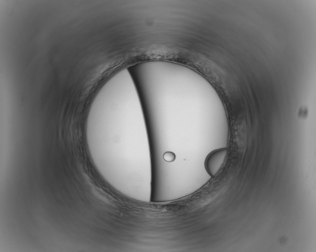 X0000097900690200803141006