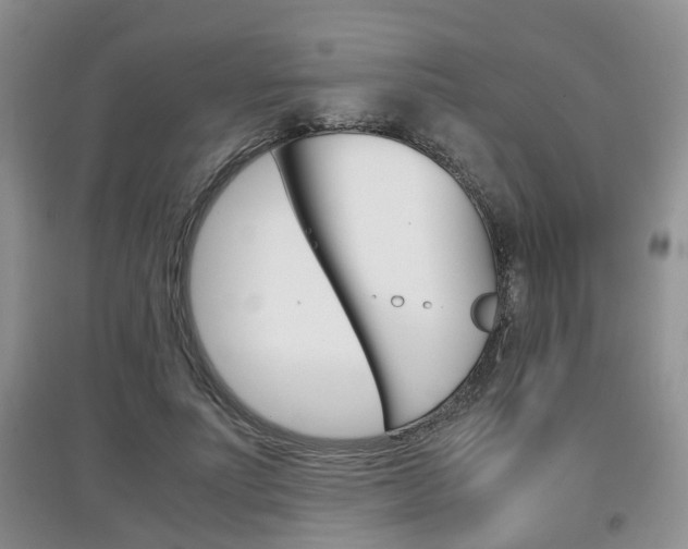 X0000097900691200803141006