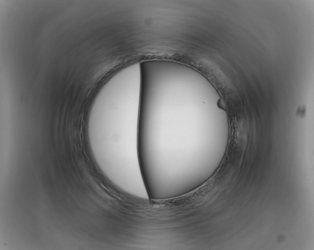 X0000097900692200803141006