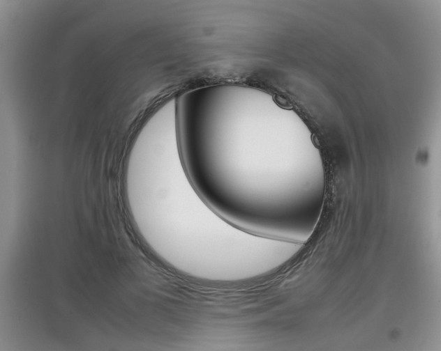 X0000097900693200803141006