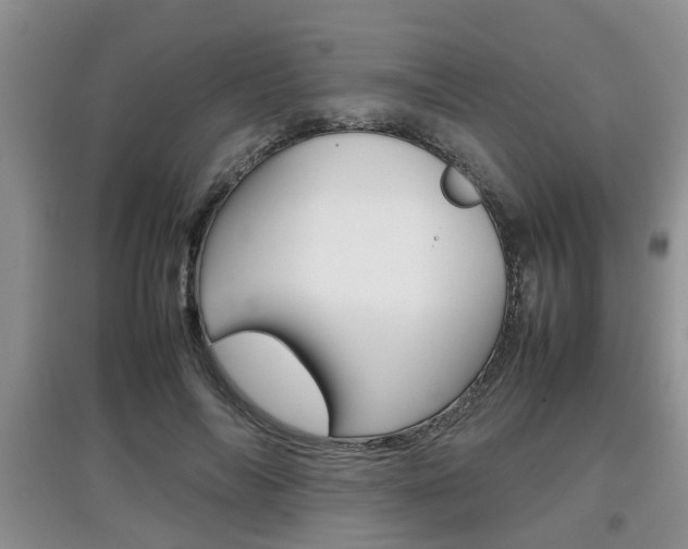 X0000097900694200803141006