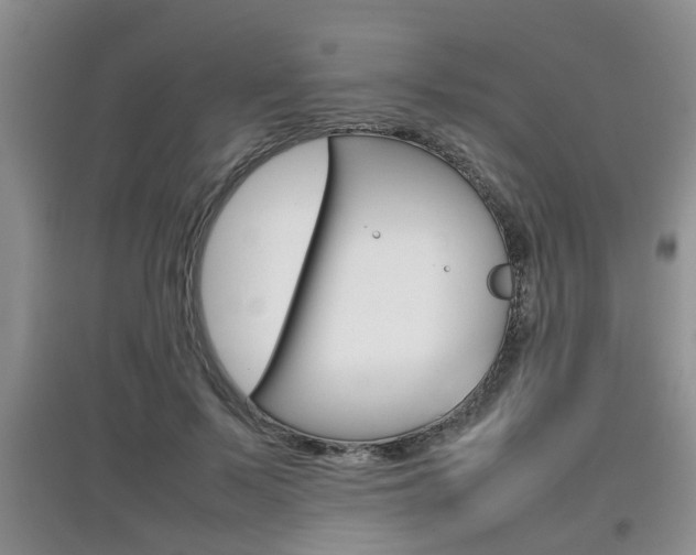 X0000097900695200803141006
