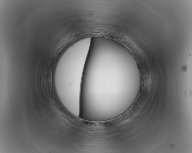X0000097900696200803141006