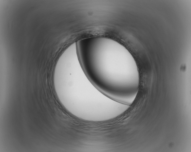 X0000097900697200803141006