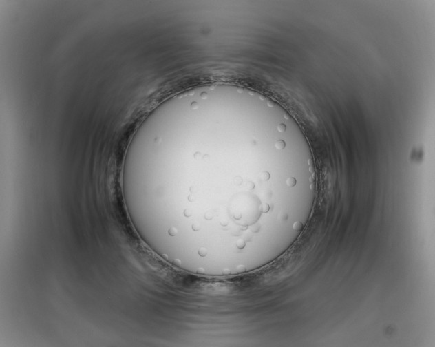 X0000097900698200803141006