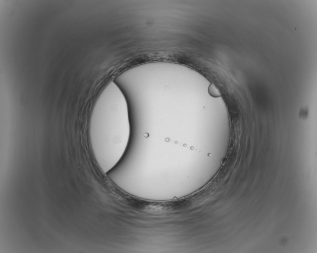 X0000097900699200803141006