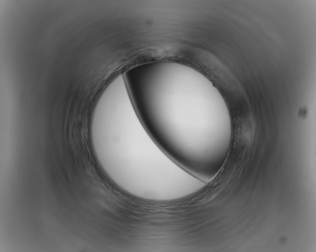 X0000097900700200803141006