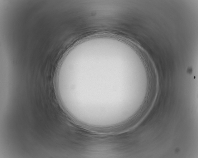X0000097900701200803141006