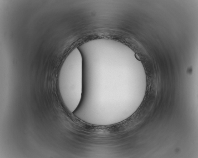X0000097900702200803141006