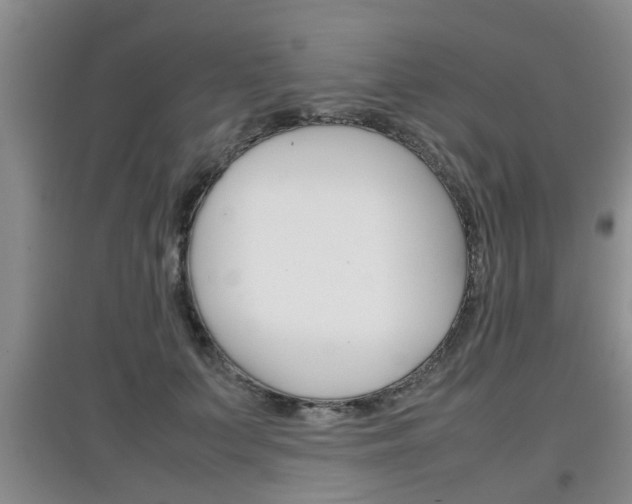 X0000097900703200803141006