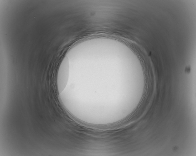 X0000097900705200803141006