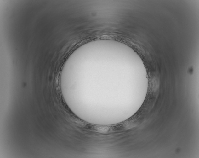 X0000097900709200803141006