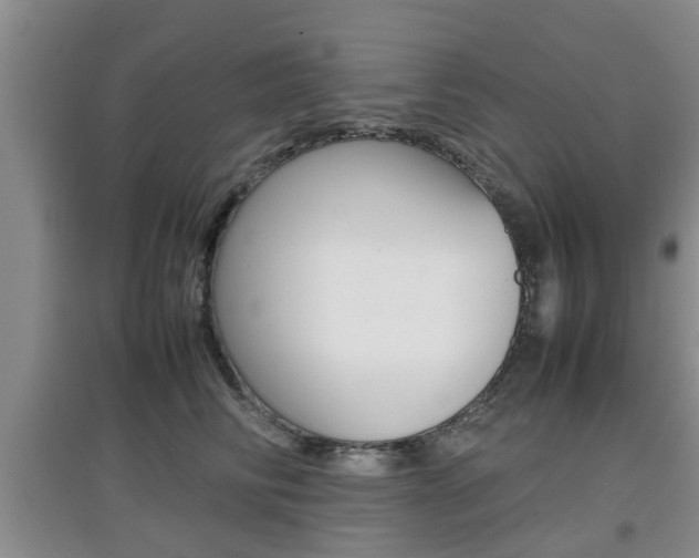 X0000097900710200803141006