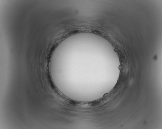X0000097900711200803141006
