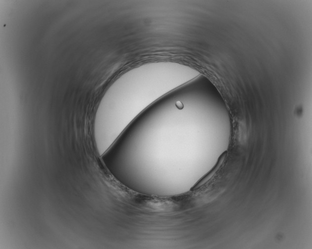 X0000097900712200803141006
