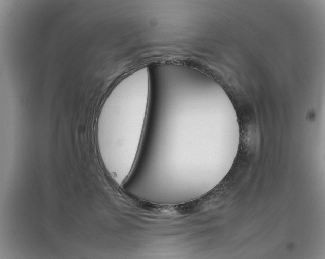 X0000097900715200803141006
