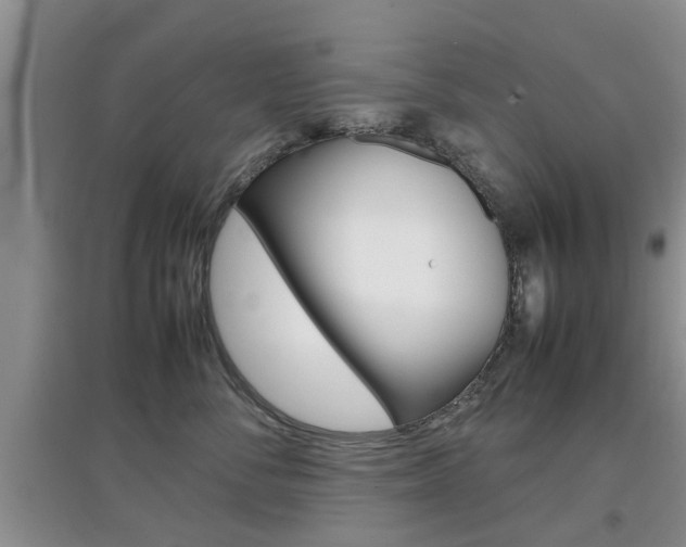 X0000097900716200803141006